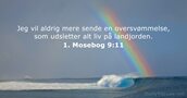 1. Mosebog 9:11