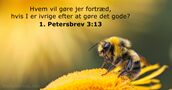 1. Petersbrev 3:13