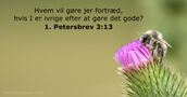 1. Petersbrev 3:13