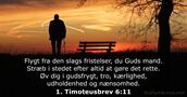1. Timoteusbrev 6:11
