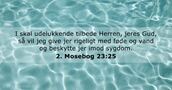 2. Mosebog 23:25