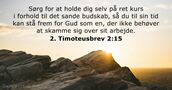 2. Timoteusbrev 2:15
