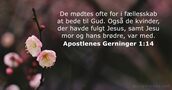 Apostlenes Gerninger 1:14
