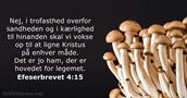 Efeserbrevet 4:15