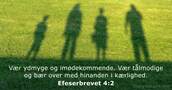 Efeserbrevet 4:2