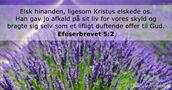 Efeserbrevet 5:2