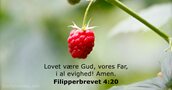 Filipperbrevet 4:20