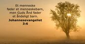 Johannesevangeliet 3:6