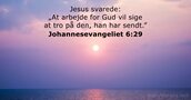 Johannesevangeliet 6:29