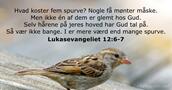 Lukasevangeliet 12:6-7