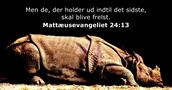 Mattæusevangeliet 24:13