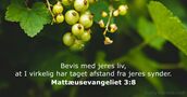 Mattæusevangeliet 3:8