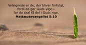 Mattæusevangeliet 5:10