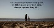 Ordsprogenes Bog 10:1