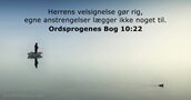 Ordsprogenes Bog 10:22