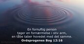 Ordsprogenes Bog 12:16