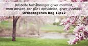 Ordsprogenes Bog 13:12