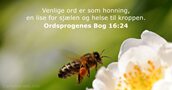 Ordsprogenes Bog 16:24