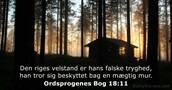 Ordsprogenes Bog 18:11