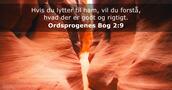 Ordsprogenes Bog 2:9