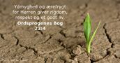 Ordsprogenes Bog 22:4