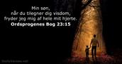 Ordsprogenes Bog 23:15