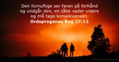 Ordsprogenes Bog 27:12