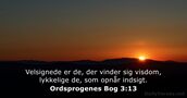Ordsprogenes Bog 3:13