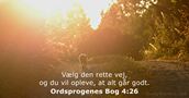 Ordsprogenes Bog 4:26