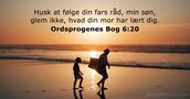 Ordsprogenes Bog 6:20