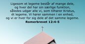 Romerbrevet 12:4-5