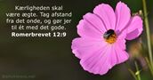 Romerbrevet 12:9