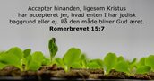 Romerbrevet 15:7