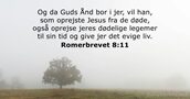 Romerbrevet 8:11