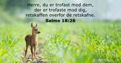 Salme 18:26