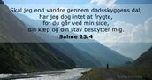 Salme 23:4