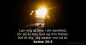 Salme 25:5