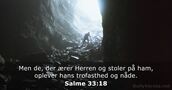 Salme 33:18