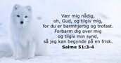 Salme 51:3-4