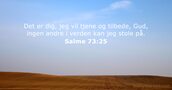 Salme 73:25