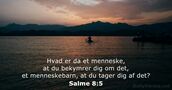 Salme 8:5