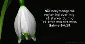 Salme 94:19