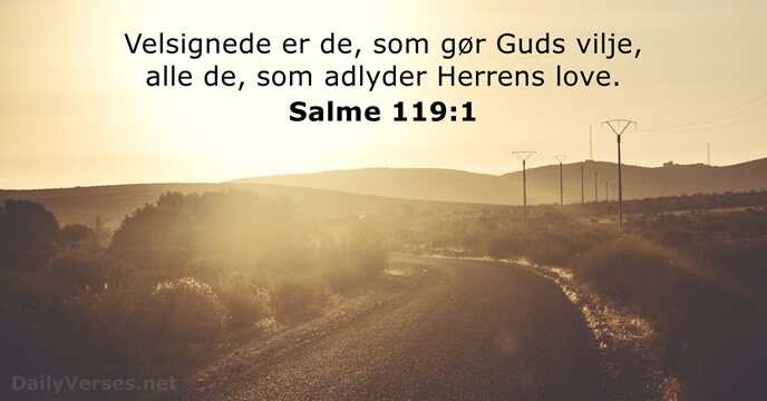 Velsignede er de, som gør Guds vilje, alle de, som adlyder Herrens love. Salme 119:1