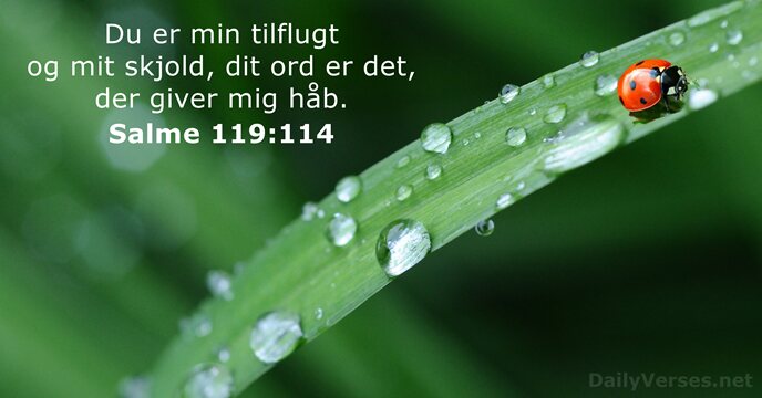 Salme 119:114