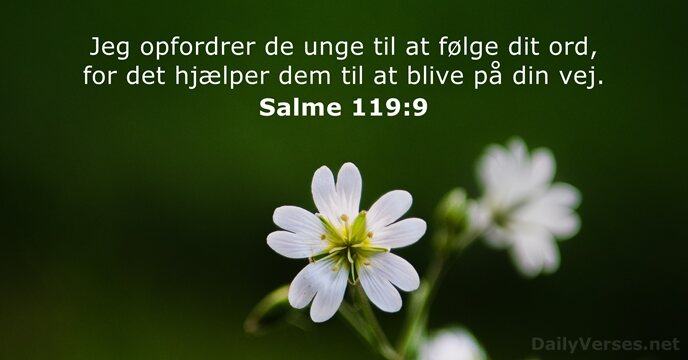 Salme 119:9