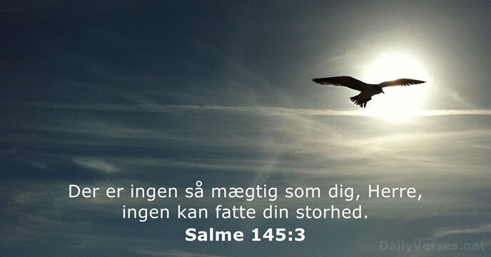 Salme 145:3