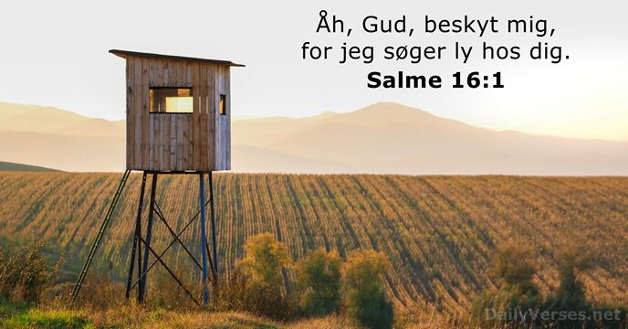 Åh, Gud, beskyt mig, for jeg søger ly hos dig. Salme 16:1