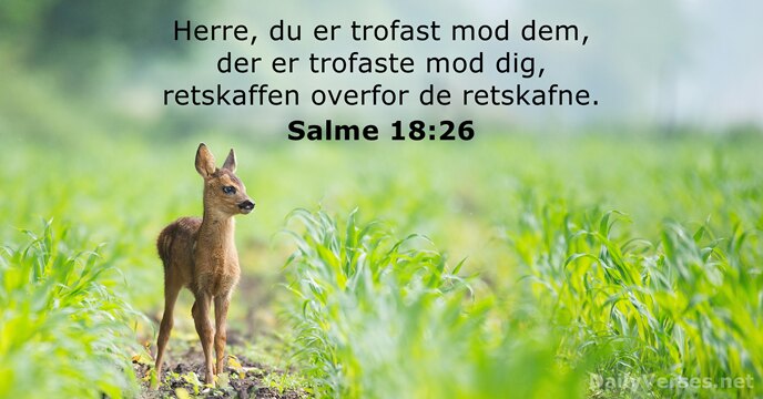 Salme 18:26