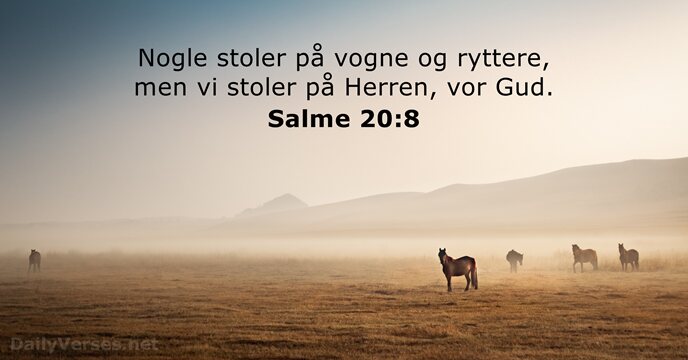 Salme 20:8