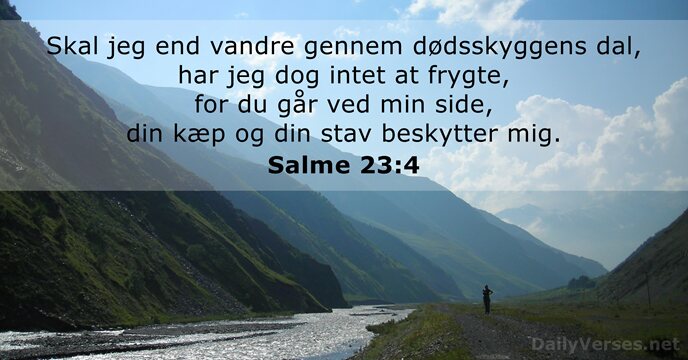 Salme 23:4